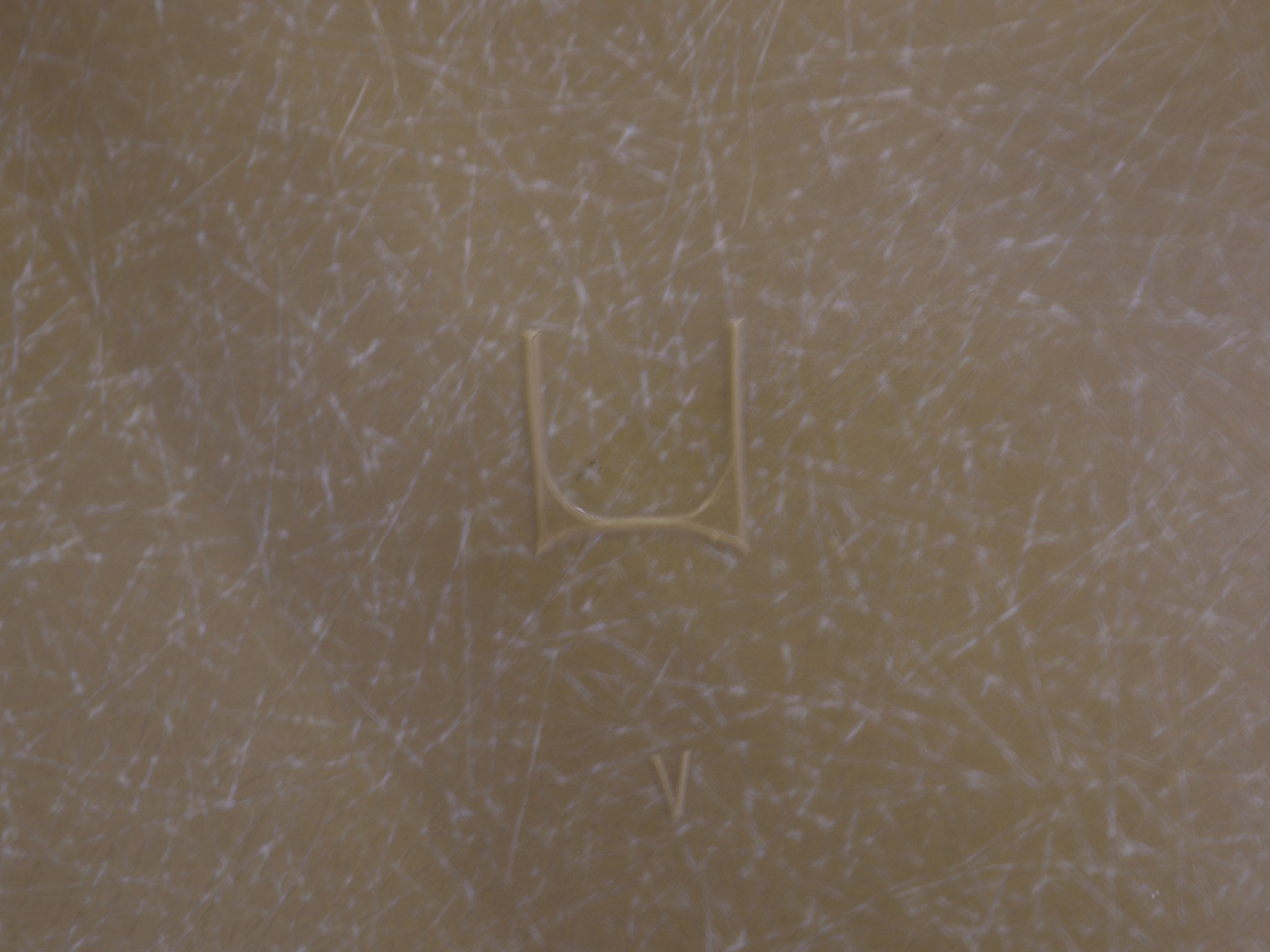 Eames DSW Parchment Fiberglass Chair Rückansicht zeigt organische Schalenform
